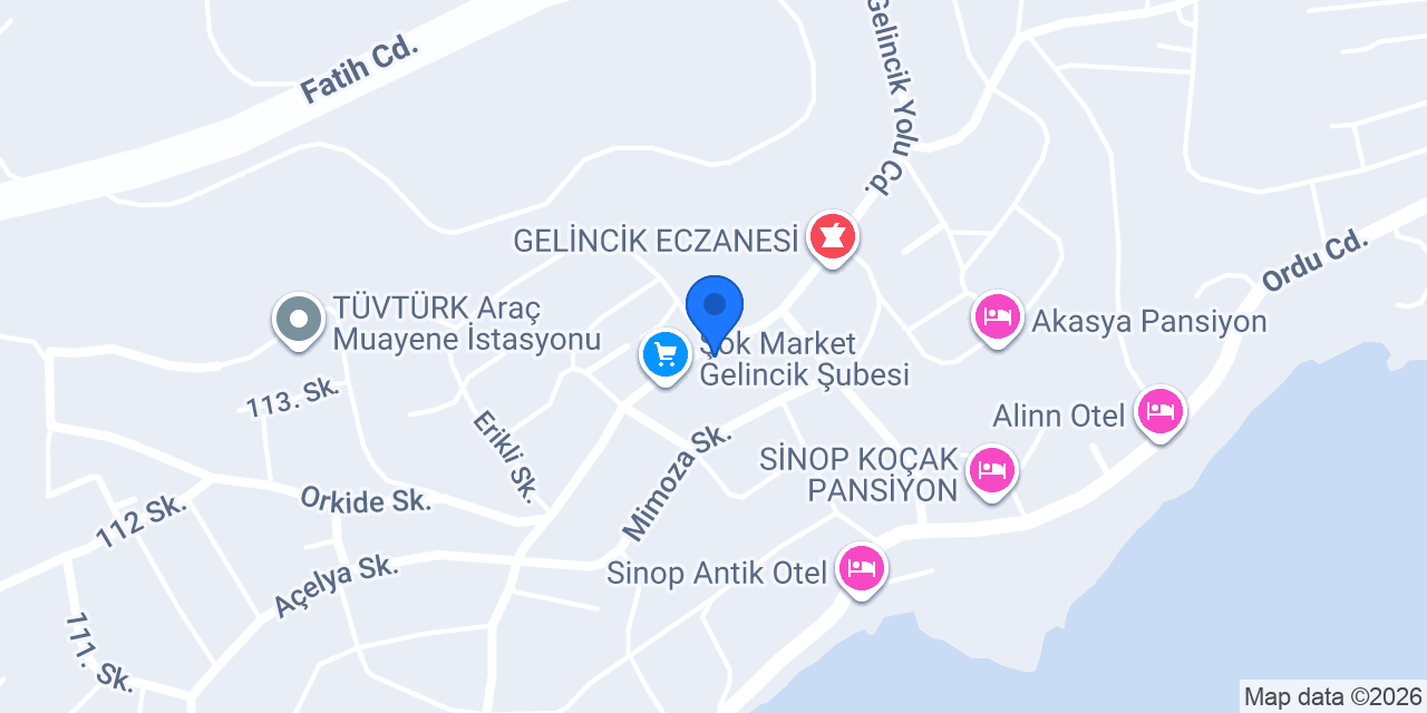sinop web tasarım konumu