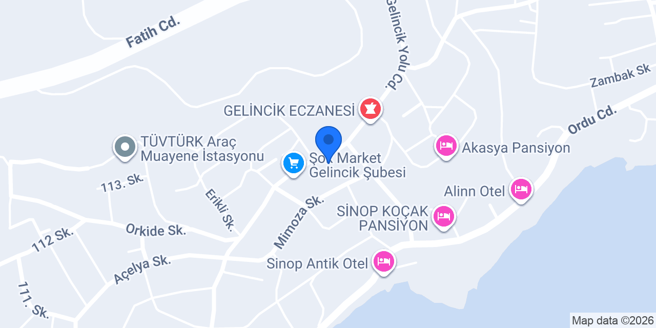 Sinop Özel Bilginler Anaokulu konumu