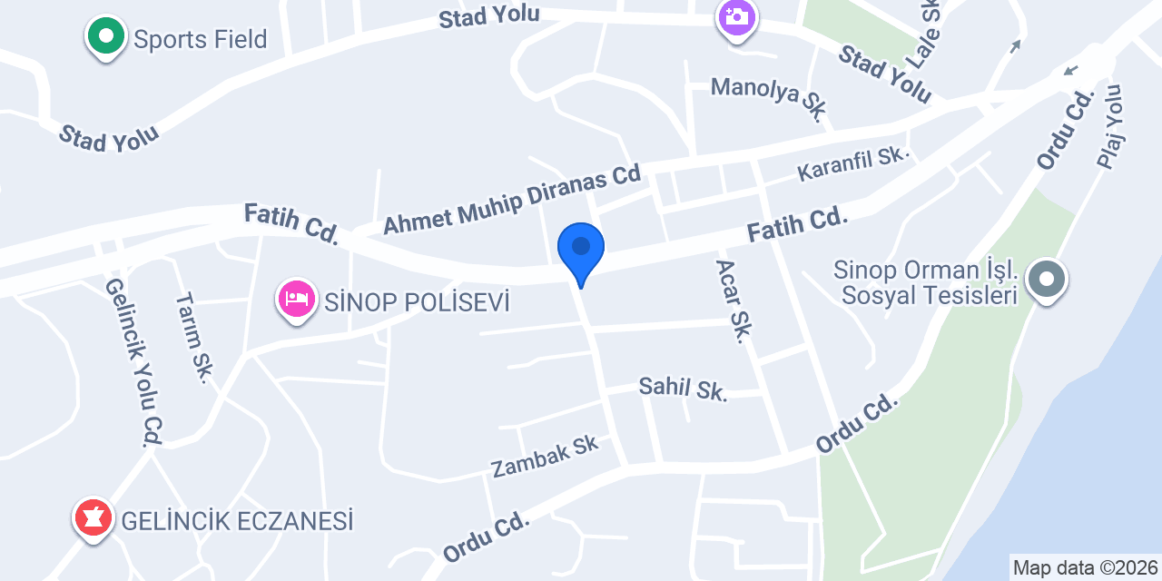 Bilge Eczanesi Sinop konumu