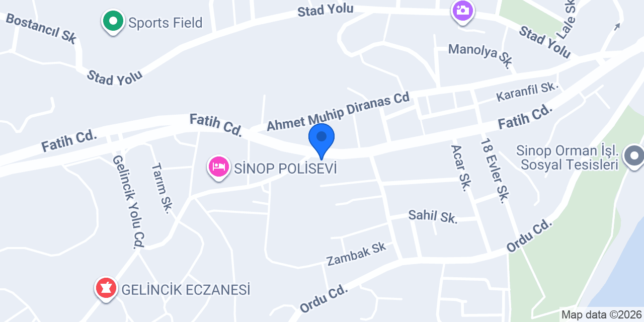 Sinop Simpaş Sigorta konumu