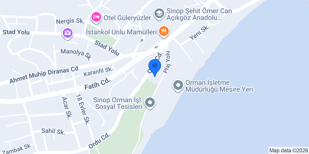 Sinop Bahçeler Villa konumu