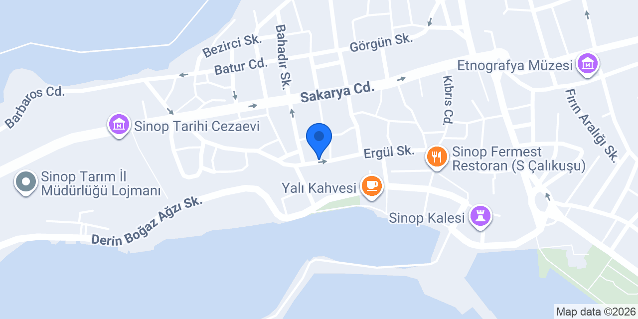 Yurtiçi Kargo Sinop konumu