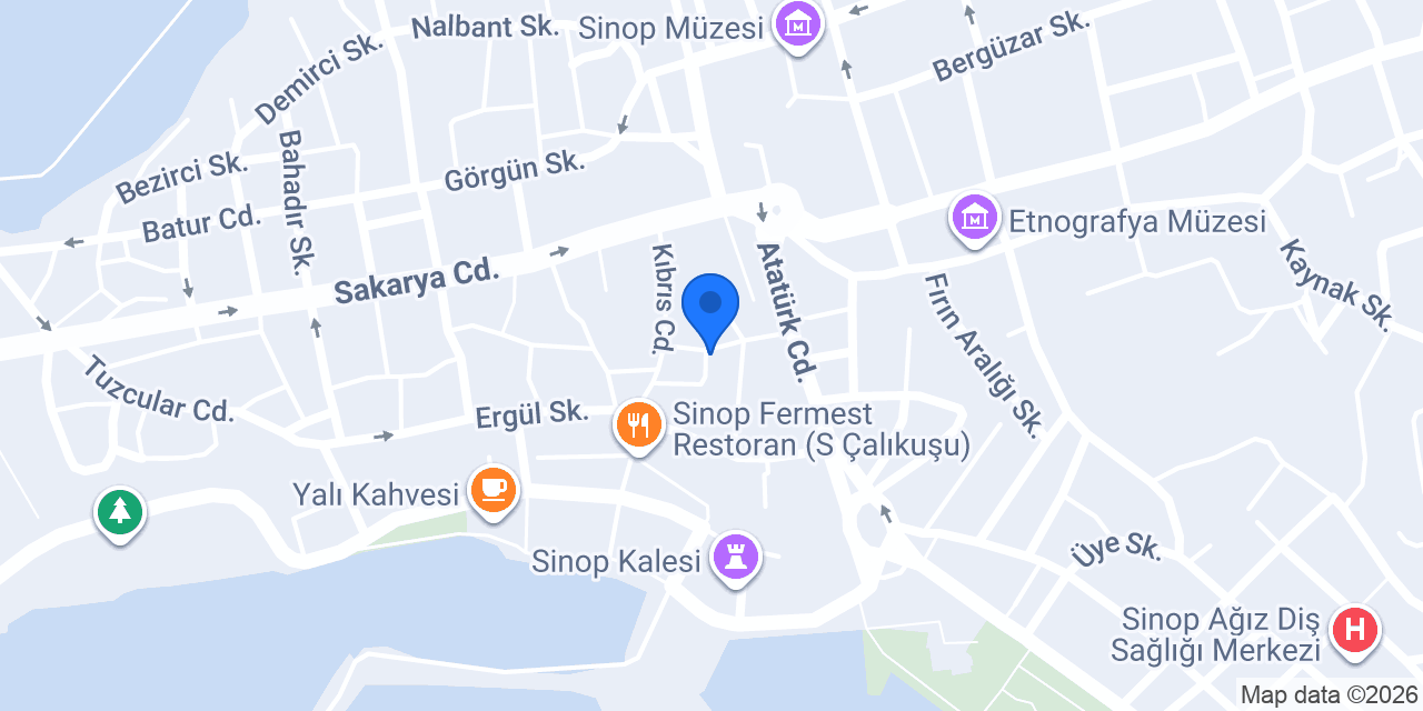 FİLLİ BOYA SİNOP DİZAYN. konumu