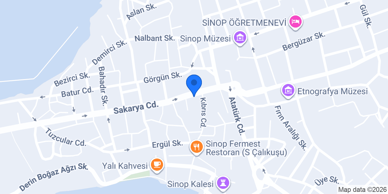 Avukat Ayla Oğuz konumu