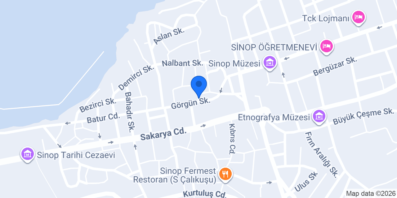 Domino's Pizza Sinop konumu