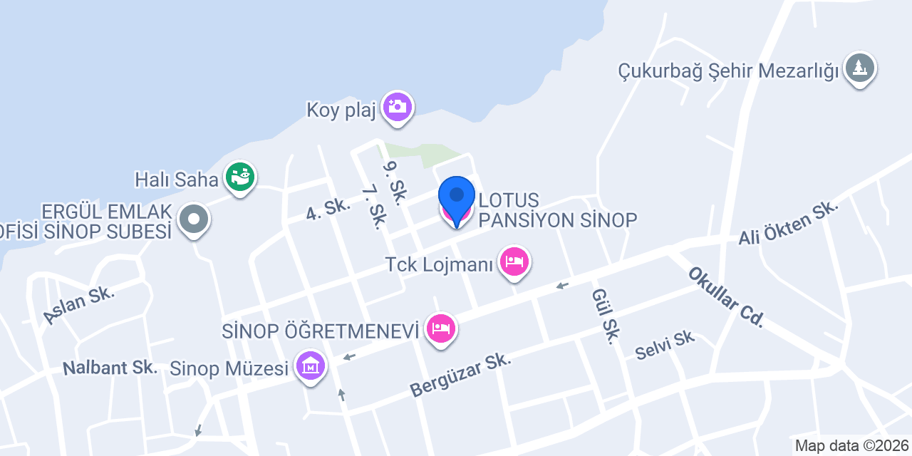 LOTUS PANSİYON SİNOP konumu
